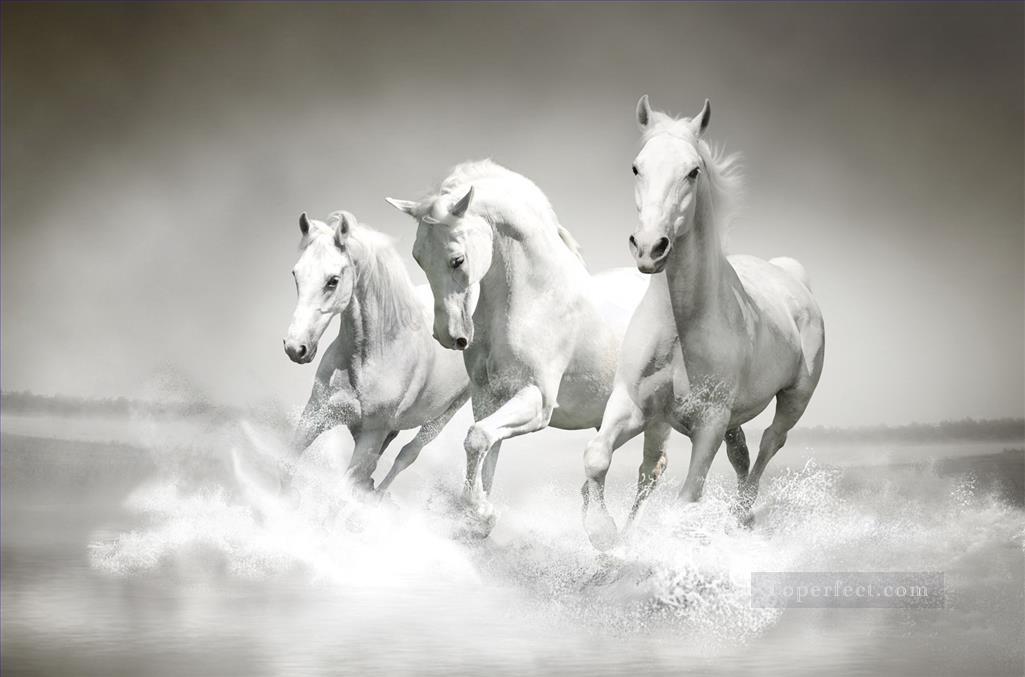 caballos blancos corriendo en blanco y negro Pintura al óleo